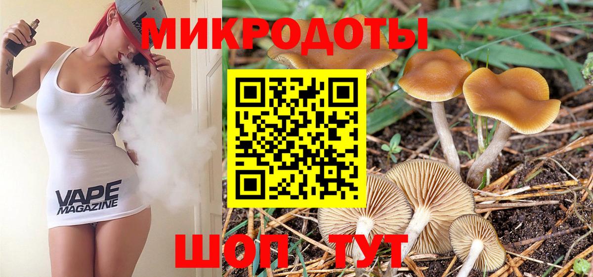 Псилоцибиновые грибы мухоморы Елец