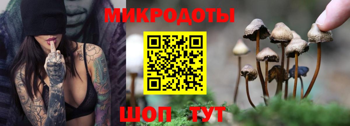Псилоцибиновые грибы GOLDEN TEACHER  Вход с VPN  Елец 